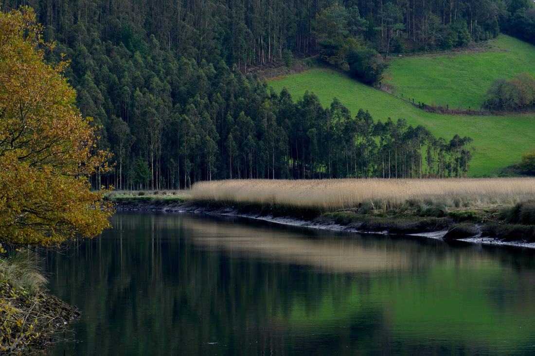 Ría de Abres, Reserva de la Biosfera Río Eo, Oscos y Terras de Burón